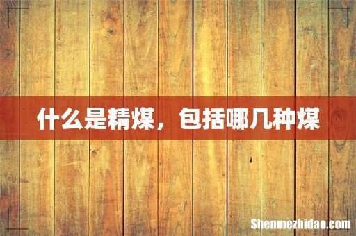 什么是精煤,包括哪几种煤