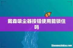 戴森吸尘器按钮使用能锁住吗