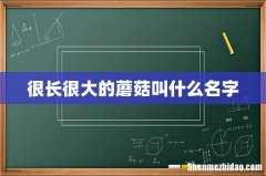 很长很大的蘑菇叫什么名字