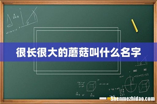 很长很大的蘑菇叫什么名字