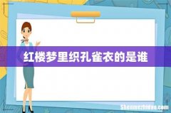 红楼梦里织孔雀衣的是谁