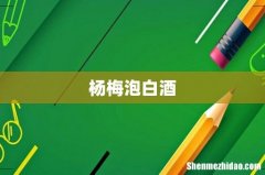 杨梅泡白酒