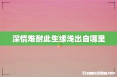 深情难耐此生缘浅出自哪里