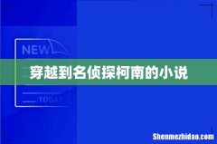穿越到名侦探柯南的小说
