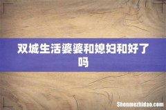 双城生活婆婆和媳妇和好了吗