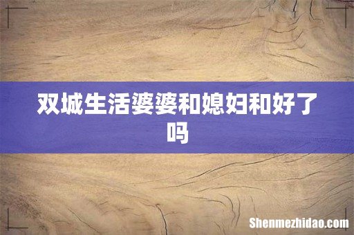 双城生活婆婆和媳妇和好了吗