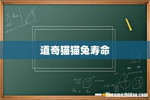 道奇猫猫兔寿命