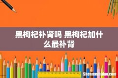 黑枸杞补肾吗 黑枸杞加什么最补肾