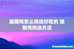 猕猴桃怎么挑选好吃的 猕猴桃挑选方法