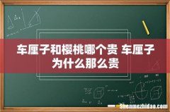 车厘子和樱桃哪个贵 车厘子为什么那么贵