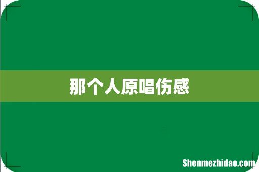 那个人原唱伤感