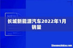 长城新能源汽车2022年1月销量