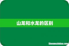 山龙和水龙的区别