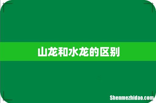 山龙和水龙的区别
