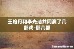 王珞丹和李光洁共同演了几部戏-那几部