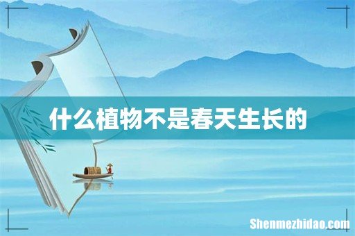 什么植物不是春天生长的