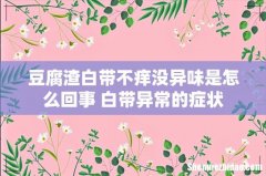 豆腐渣白带不痒没异味是怎么回事 白带异常的症状
