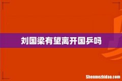 刘国梁有望离开国乒吗