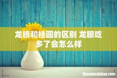 龙眼和桂圆的区别 龙眼吃多了会怎么样