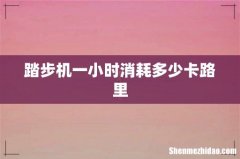 踏步机一小时消耗多少卡路里