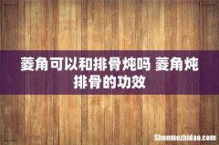 菱角可以和排骨炖吗 菱角炖排骨的功效