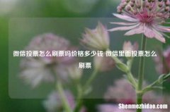 微信投票怎么刷票吗价格多少钱 微信里面投票怎么刷票