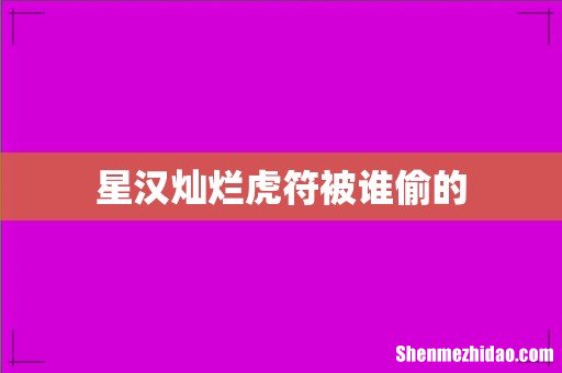 星汉灿烂虎符被谁偷的
