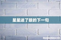 星星迷了眼的下一句