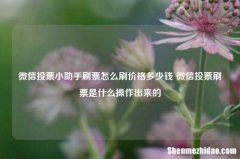 微信投票小助手刷票怎么刷价格多少钱 微信投票刷票是什么操作出来的