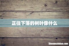 正往下落的树叶像什么