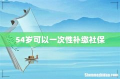 54岁可以一次性补缴社保