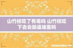 山竹核吃了有毒吗 山竹核吃下去会肠道堵塞吗