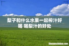 梨子和什么水果一起榨汁好喝 喝梨汁的好处