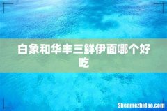 白象和华丰三鲜伊面哪个好吃