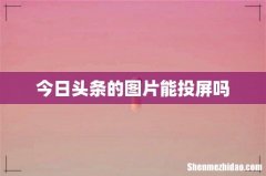 今日头条的图片能投屏吗