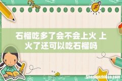石榴吃多了会不会上火 上火了还可以吃石榴吗
