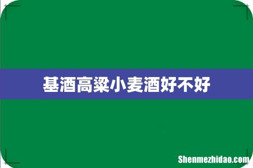 基酒高粱小麦酒好不好