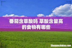 番茄含草酸吗 草酸含量高的食物有哪些