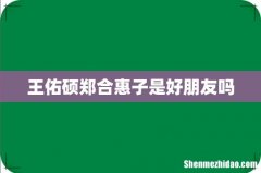 王佑硕郑合惠子是好朋友吗