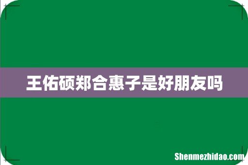 王佑硕郑合惠子是好朋友吗