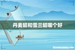 丹麦貂和雪兰貂哪个好