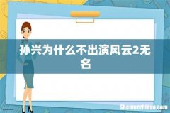 孙兴为什么不出演风云2无名
