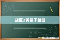 战区2黄箱子给啥