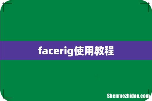 facerig使用教程