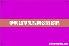 伊利畅享乳酸菌饮料好吗