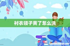 衬衣领子黄了怎么洗