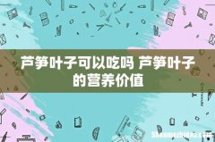 芦笋叶子可以吃吗 芦笋叶子的营养价值