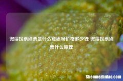 微信投票刷票是什么意思呀价格多少钱 微信投票刷票什么原理