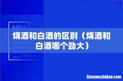 烧酒和白酒哪个劲大 烧酒和白酒的区别