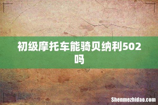 初级摩托车能骑贝纳利502吗